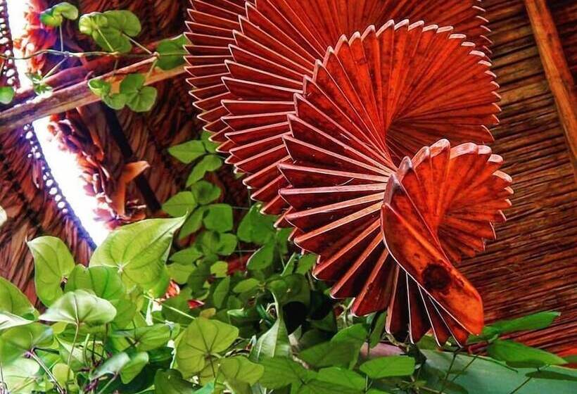 Beta Life Eco Proyecto Hostel