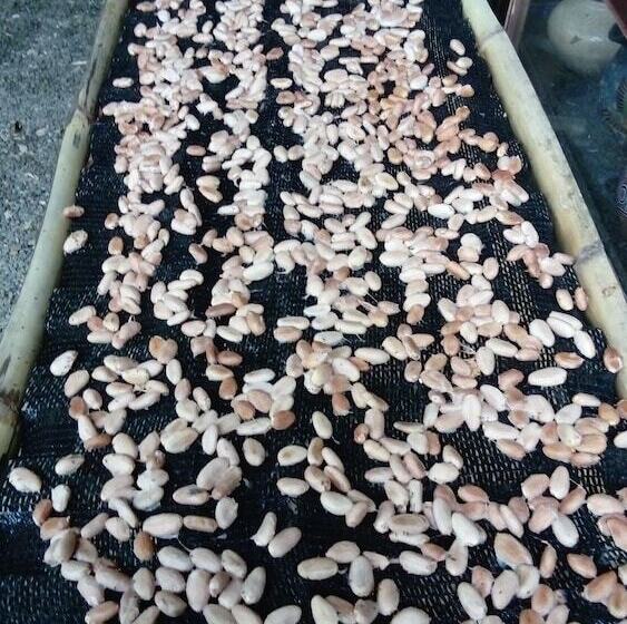 Beta Life Eco Proyecto Hostel