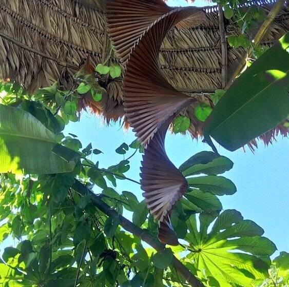 Beta Life Eco Proyecto Hostel