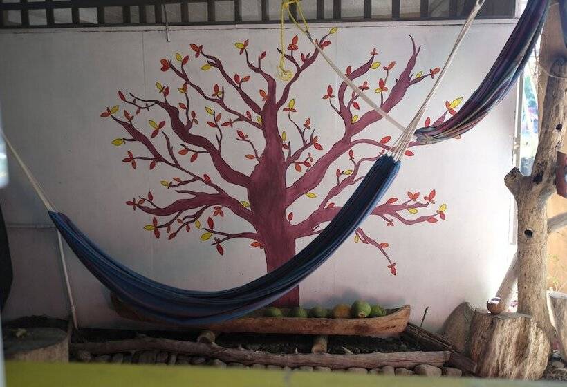 Beta Life Eco Proyecto Hostel