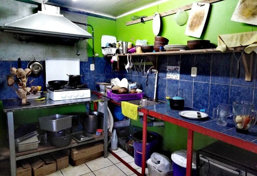 Beta Life Eco Proyecto Hostel