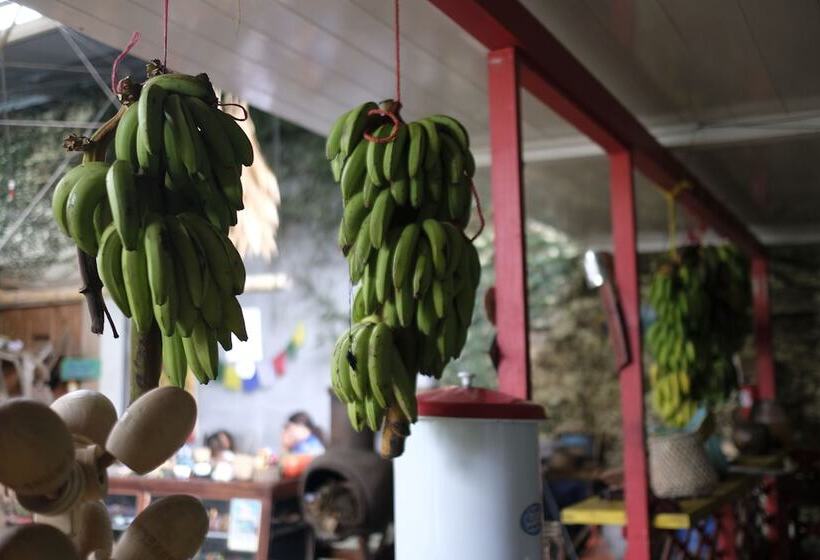 Beta Life Eco Proyecto Hostel