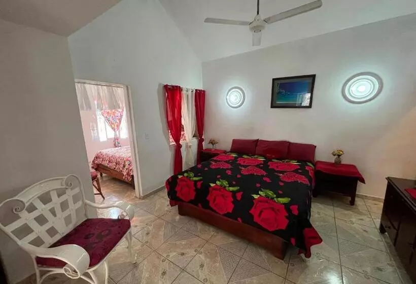 هتل Villa Antonia 16