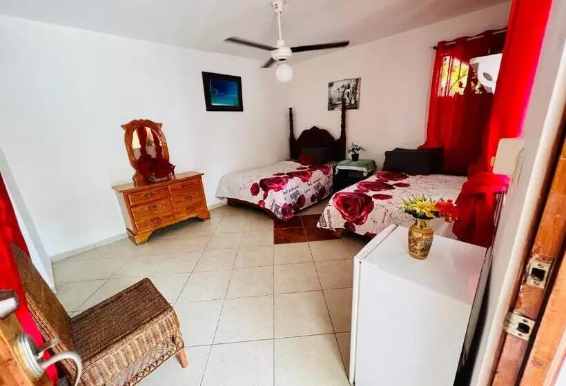 هتل Villa Antonia 16