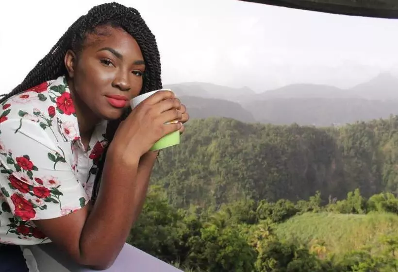 تختخواب و صبحانه Matthew S Miracle View