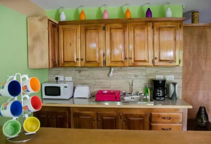 تختخواب و صبحانه Matthew S Miracle View