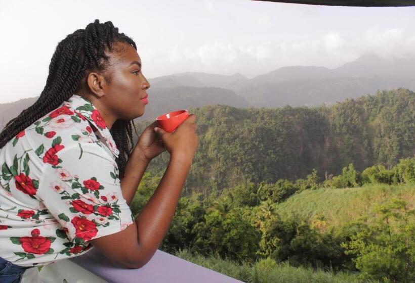 تختخواب و صبحانه Matthew S Miracle View