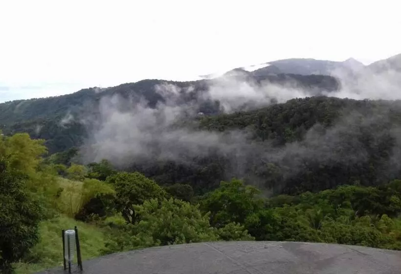 تختخواب و صبحانه Matthew S Miracle View