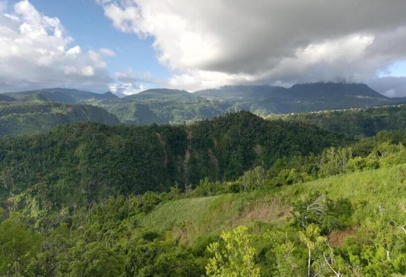 تختخواب و صبحانه Matthew S Miracle View