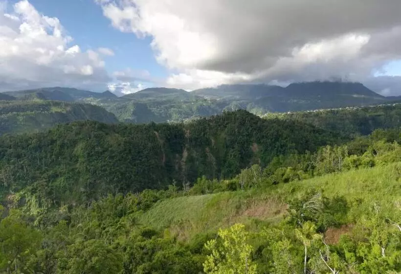 تختخواب و صبحانه Matthew S Miracle View