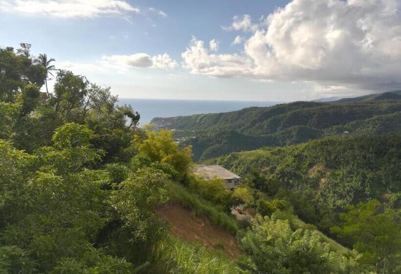 تختخواب و صبحانه Matthew S Miracle View