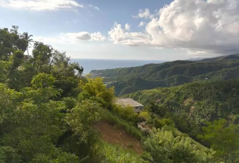 تختخواب و صبحانه Matthew S Miracle View