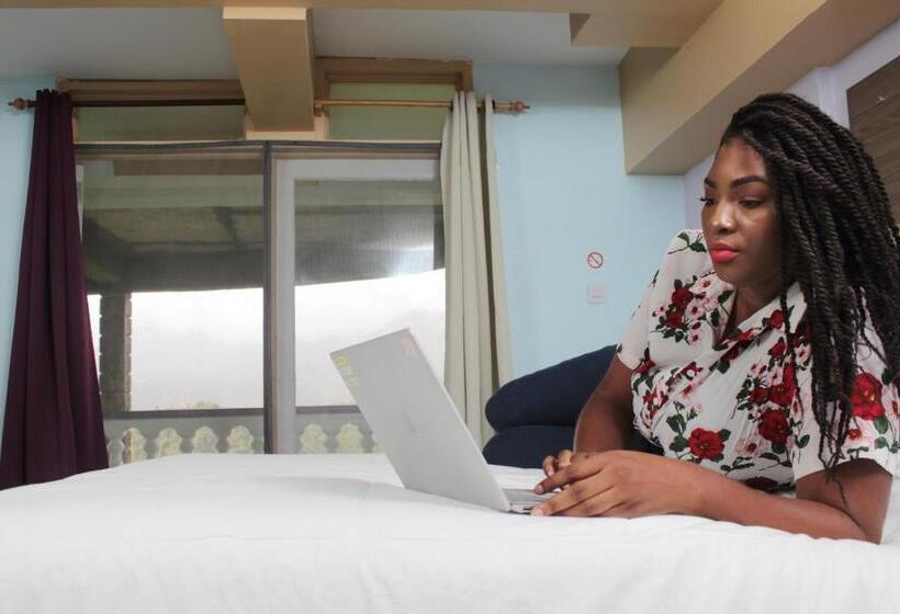 تختخواب و صبحانه Matthew S Miracle View