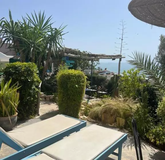 Aamiaismajoitus (B&B) Villa Jardin De L'ocean