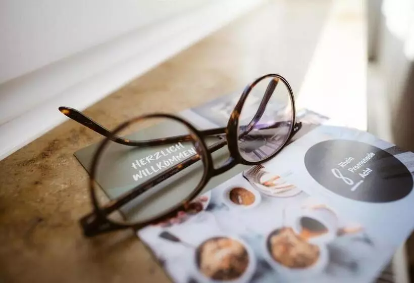 Hotelli Rheinpromenade8