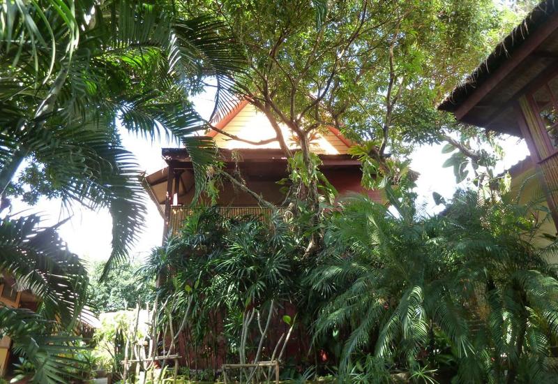 אתר נופש Old Tree S House