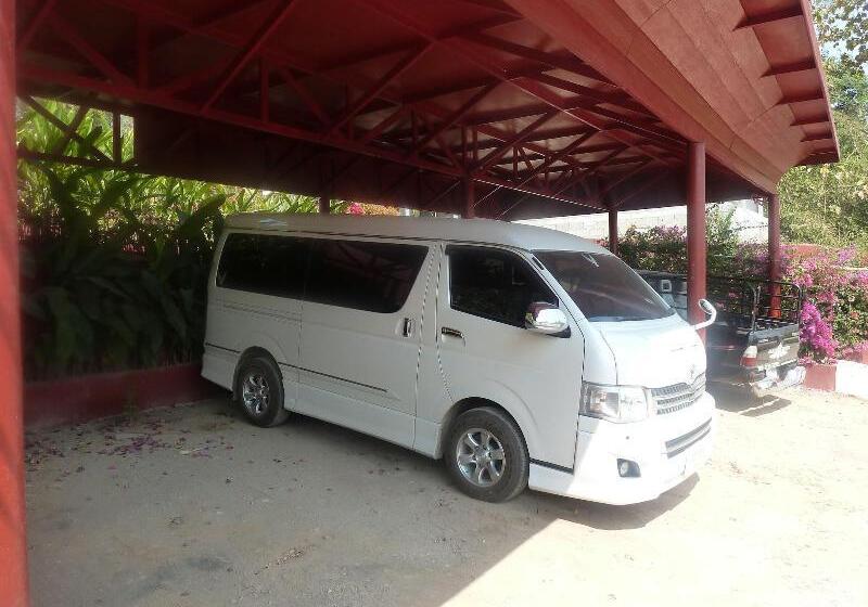 אתר נופש Old Tree S House