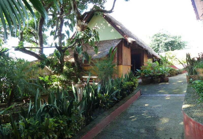 אתר נופש Old Tree S House