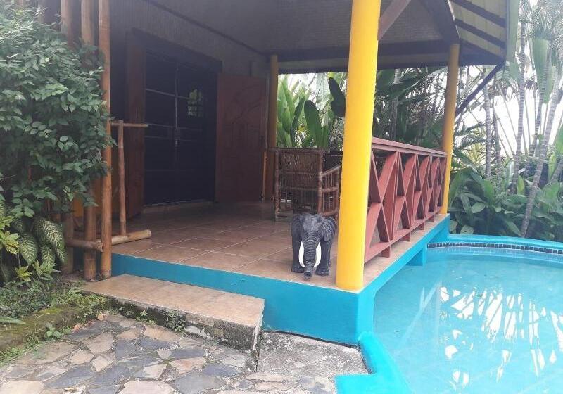 אתר נופש Old Tree S House