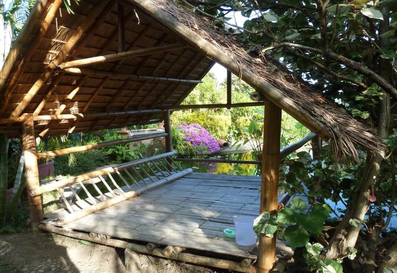 אתר נופש Old Tree S House