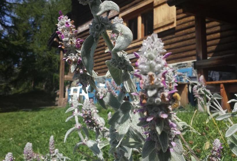 Rifugio Alpino L Ermitage  Hostel