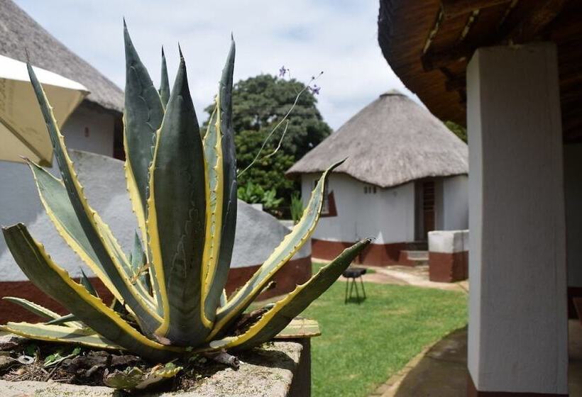 הוסטל Graskop Family Retreat And Backpackers