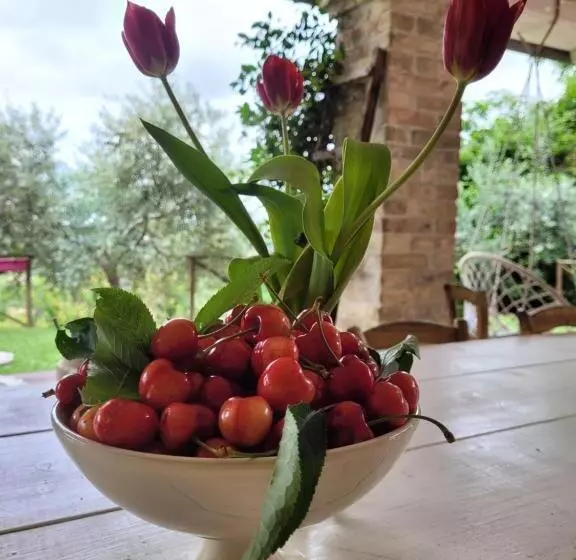 B&b L'usignolo
