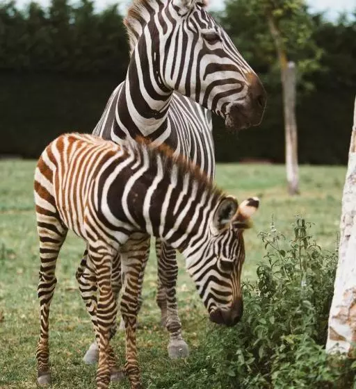 تختخواب و صبحانه Ca'bevilacqua Bed&breakfast