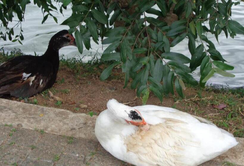 Nocleg ze śniadaniem Cirute Talwatte, Kandy