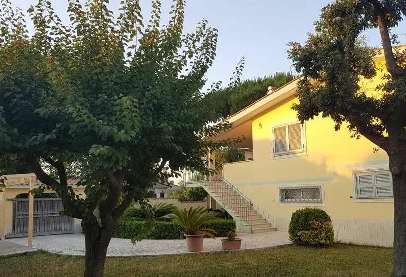تختخواب و صبحانه Clock S House