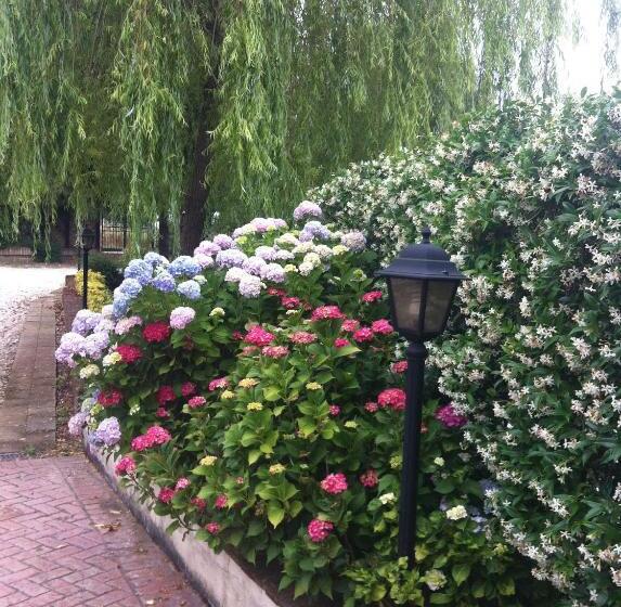 민박 L Albero Del Pepe