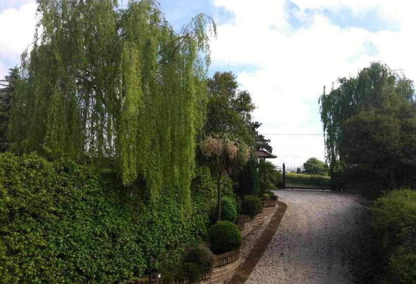 민박 L Albero Del Pepe