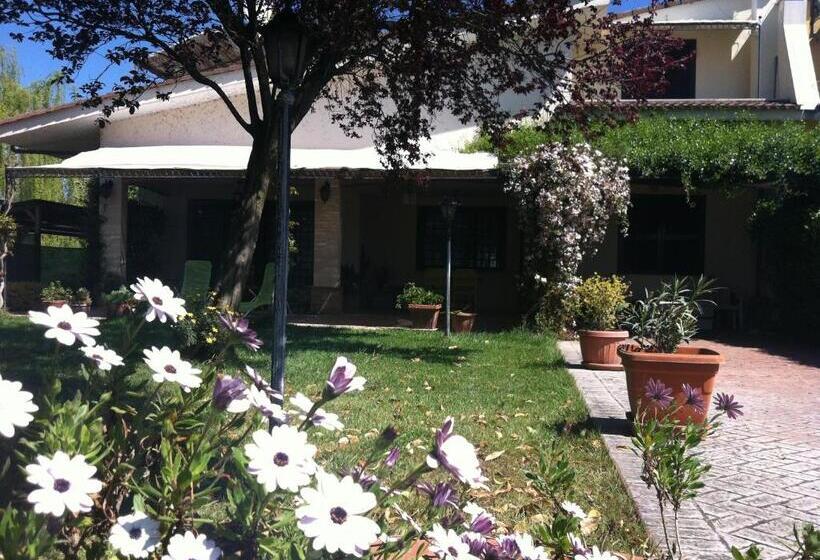 민박 L Albero Del Pepe