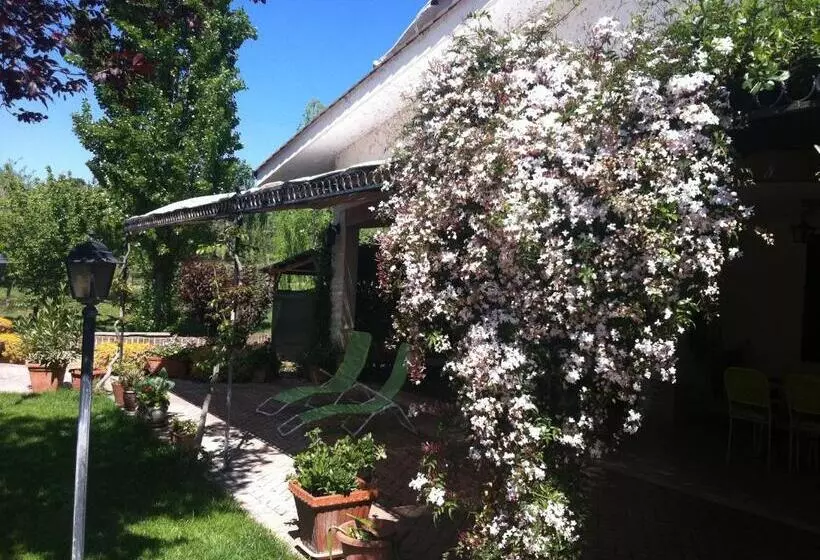 ベッドアンドブレックファースト L Albero Del Pepe