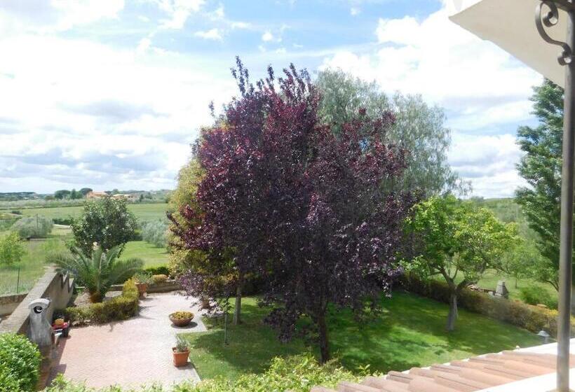 민박 L Albero Del Pepe