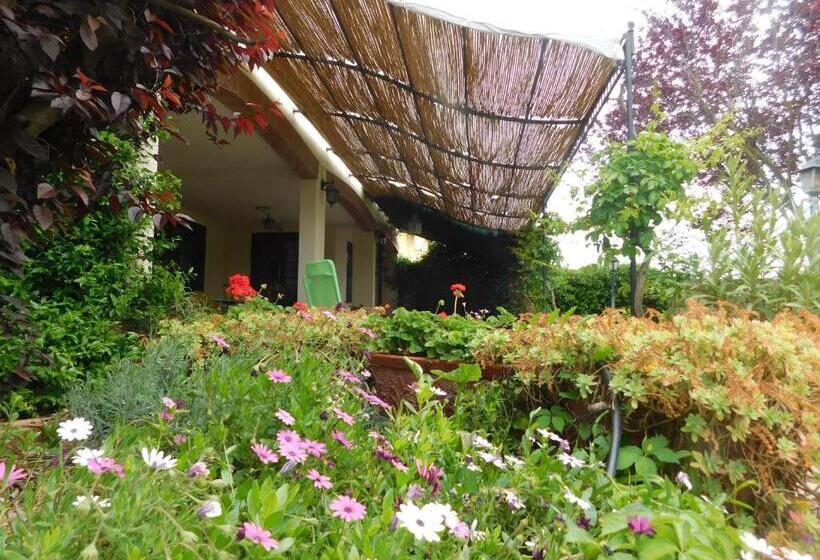 민박 L Albero Del Pepe