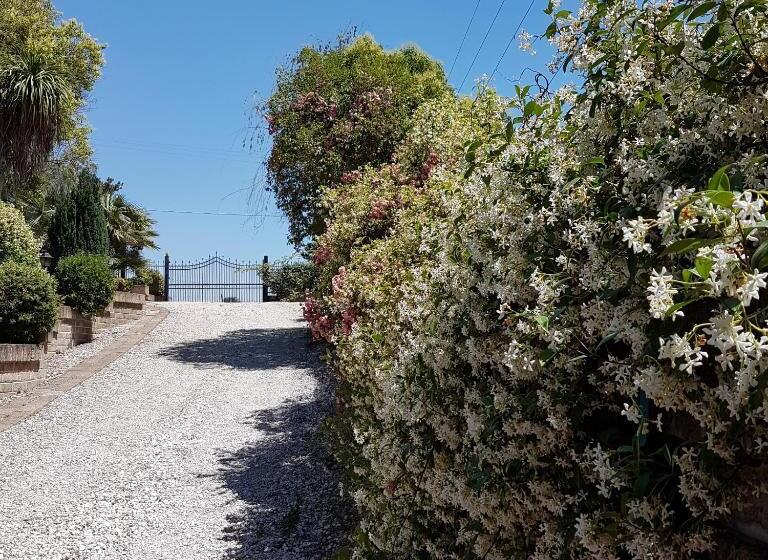 민박 L Albero Del Pepe