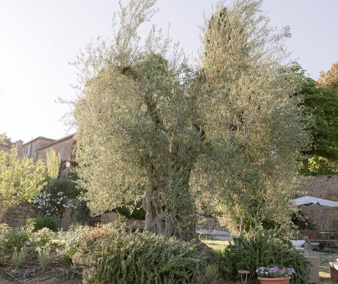 Borgo Sant Ambrogio Resort