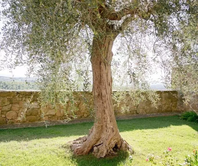 Borgo Sant Ambrogio  Resort