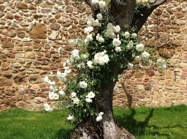 Borgo Sant Ambrogio  Resort