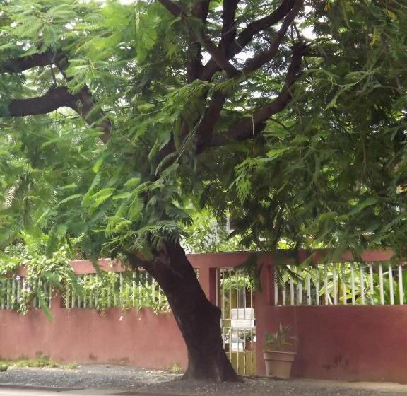 Bed and Breakfast Laura S House