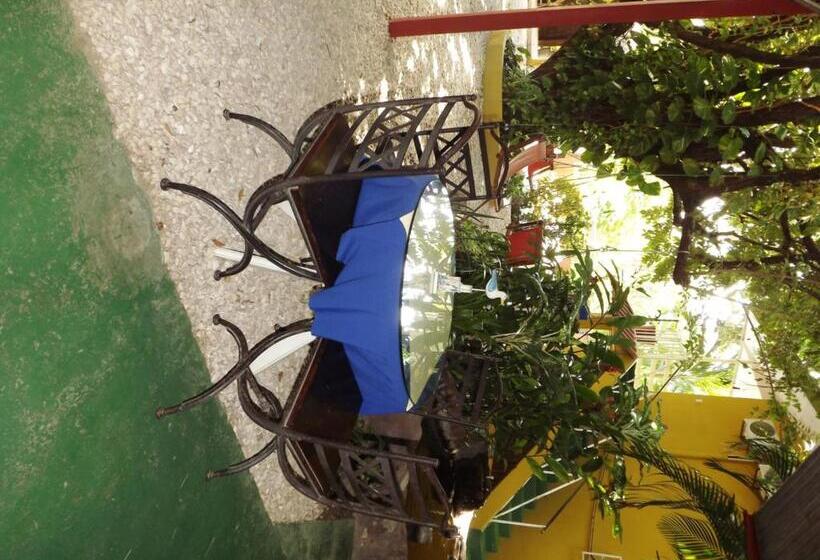 Bed and Breakfast Laura S House