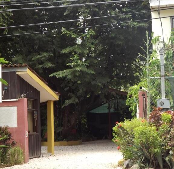 Bed and Breakfast Laura S House