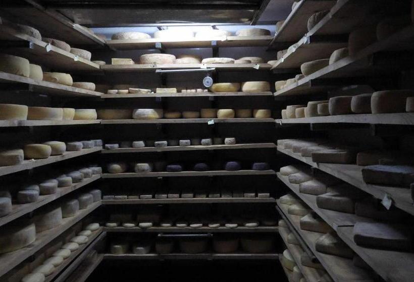 تختخواب و صبحانه Agriturismo Cascina Selva