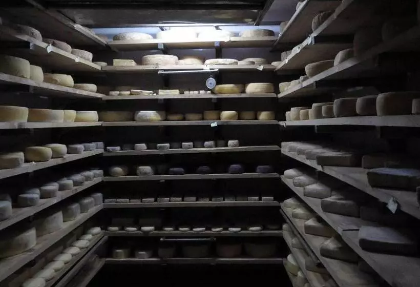 تختخواب و صبحانه Agriturismo Cascina Selva