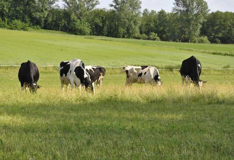 تختخواب و صبحانه Agriturismo Cascina Selva