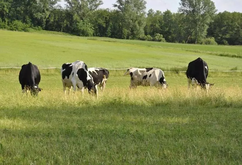 تختخواب و صبحانه Agriturismo Cascina Selva