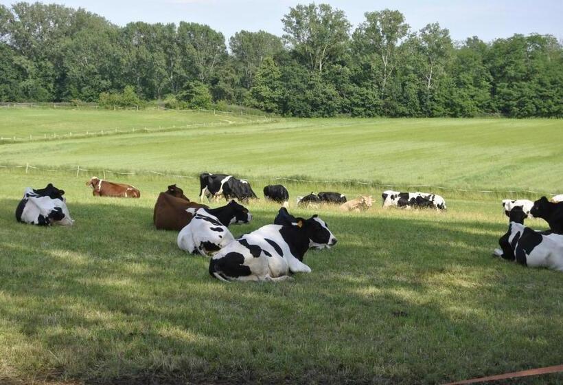 تختخواب و صبحانه Agriturismo Cascina Selva