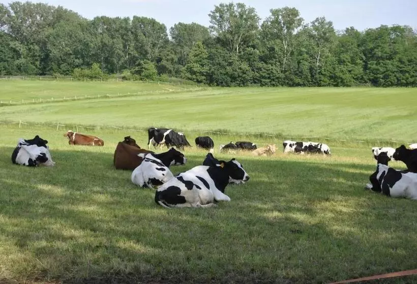 تختخواب و صبحانه Agriturismo Cascina Selva