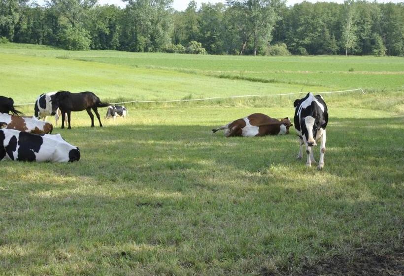 تختخواب و صبحانه Agriturismo Cascina Selva
